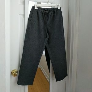 Aritzia Babaton straight leg gray pant